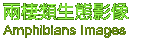 ������ͺA�v��