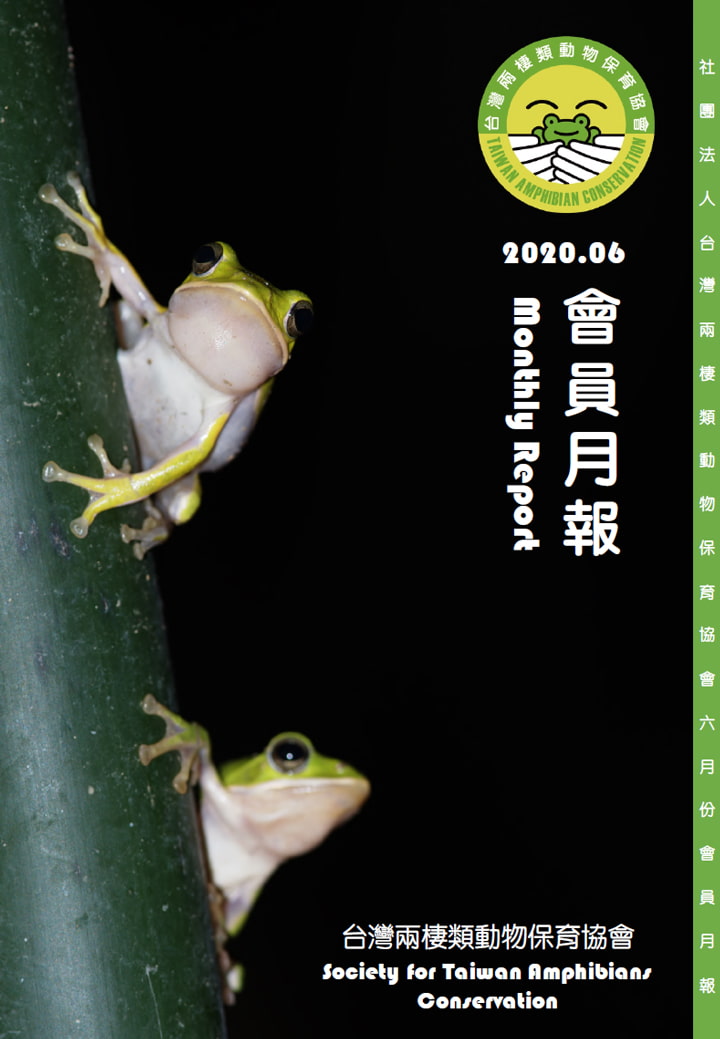 台灣兩棲類動物保育協會會訊2020.6月號