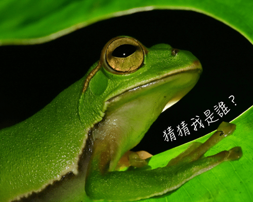雙月會訊 9月號/2022