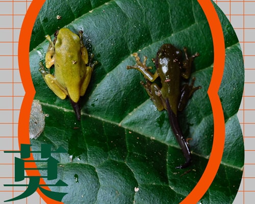春季刊 4月號/2024