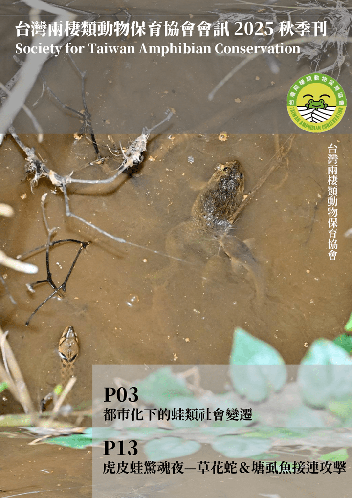 台灣兩棲類動物保育協會會訊2025秋季刊.10月號