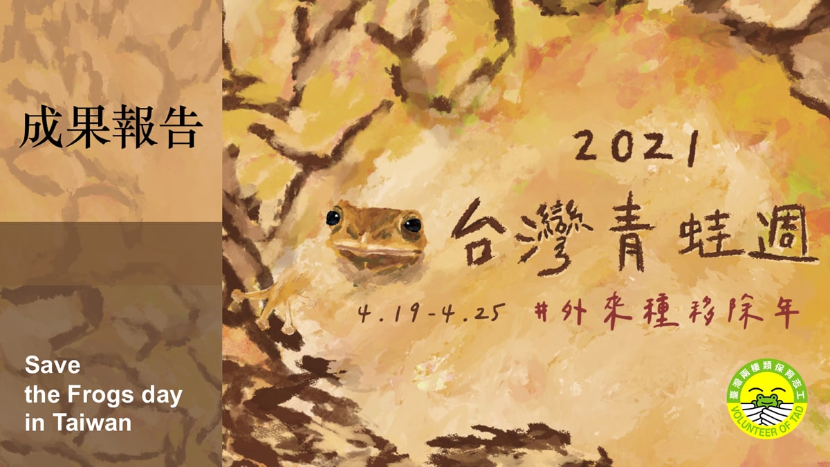 2021青蛙週成果