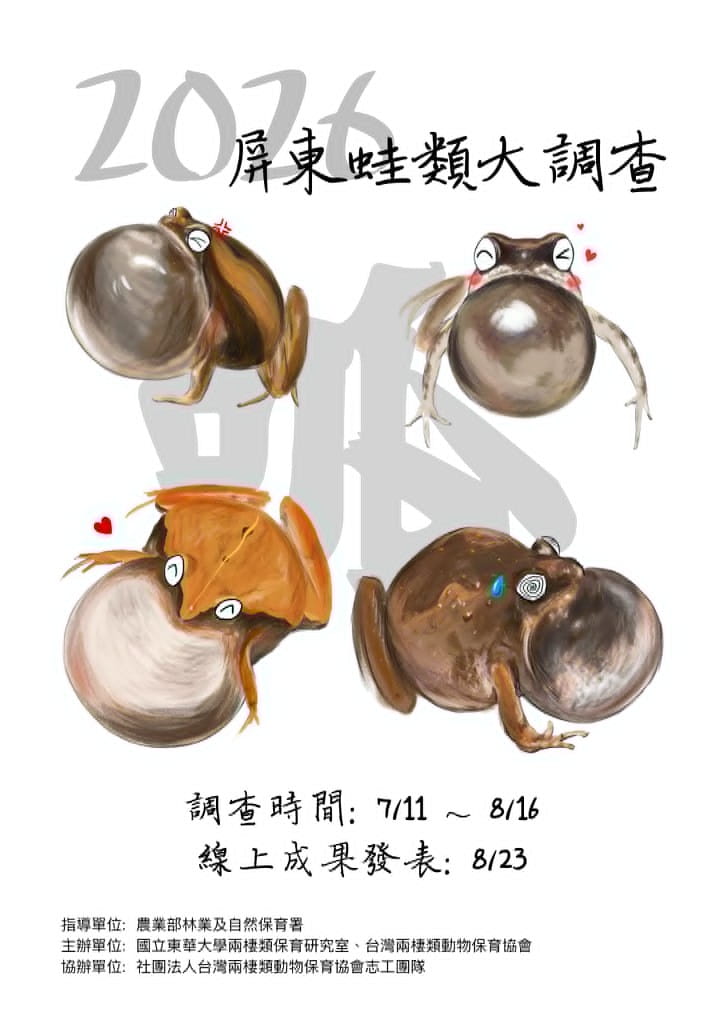 2026屏東蛙類大調查07/11-08/16，線上成果發表08/23