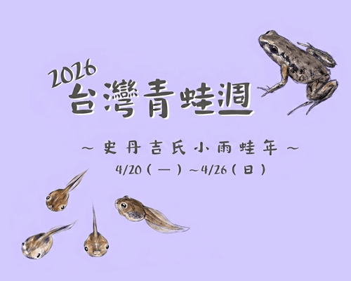 🐸 2026 台灣青蛙週|一起為青蛙發聲,動起來!🐸