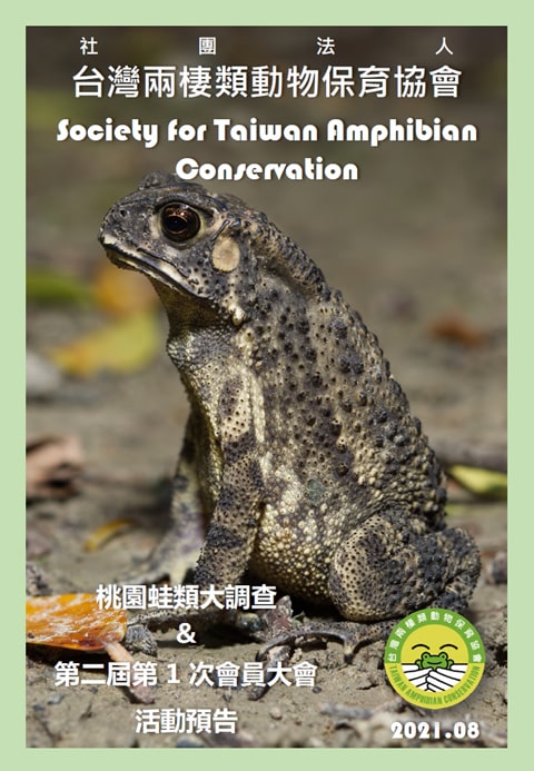 台灣兩棲類動物保育協會會訊2021.8月號