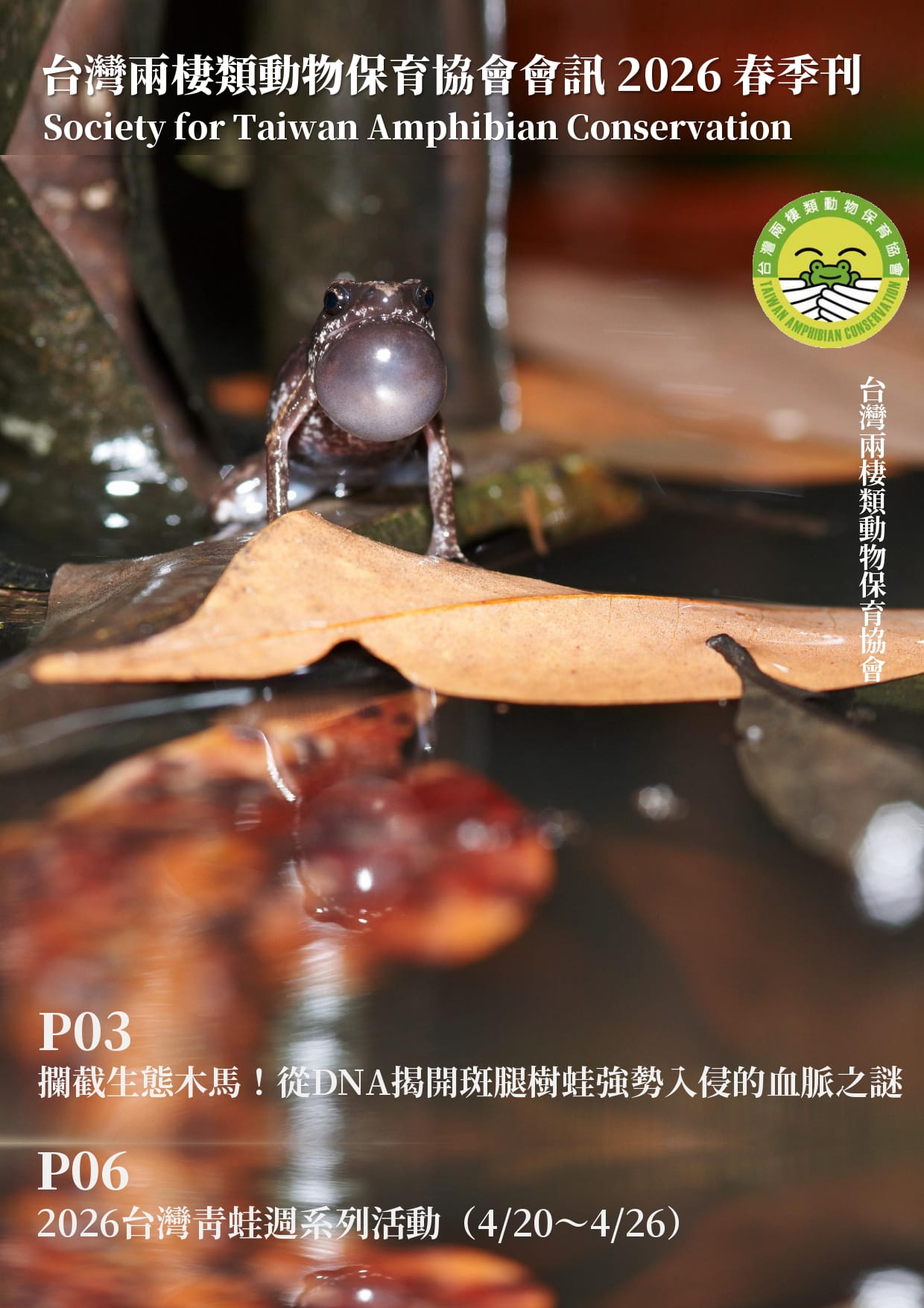 台灣兩棲類動物保育協會會訊2026春季刊.4月號